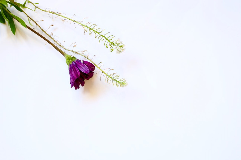 個(gè)人可以搭建百度蜘蛛池嗎？——知乎上的熱門話題解析