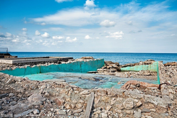 蜘蛛池作用_蜘蛛池到底有沒(méi)有用