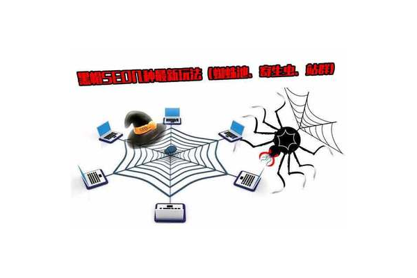 骷髏頭蜘蛛_骷髏頭蜘蛛百度百科