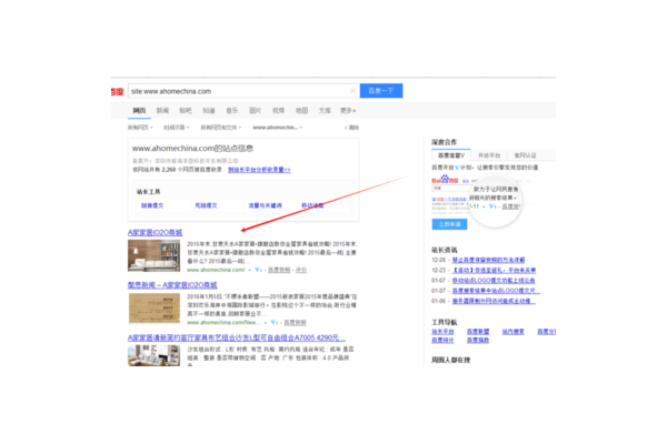 沒有蜘蛛會有蜘蛛網嗎_沒有蜘蛛的照片