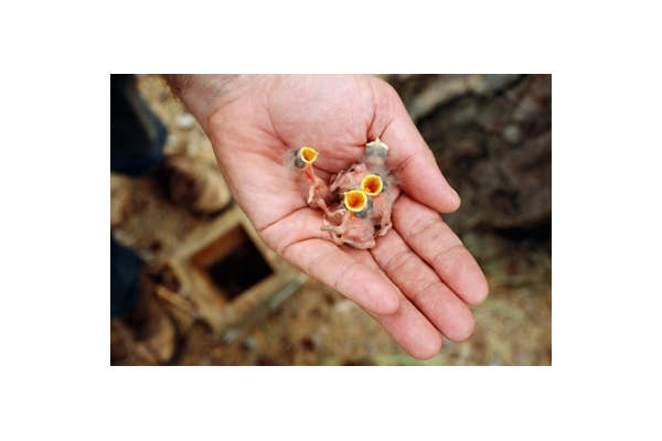 蜘蛛池真的有用嗎_蜘蛛ciji