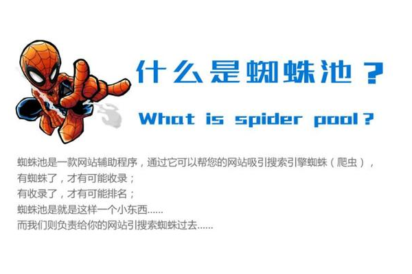 免費(fèi)蜘蛛池試用