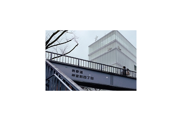 怎么養(yǎng)蜘蛛池_養(yǎng)蜘蛛知乎