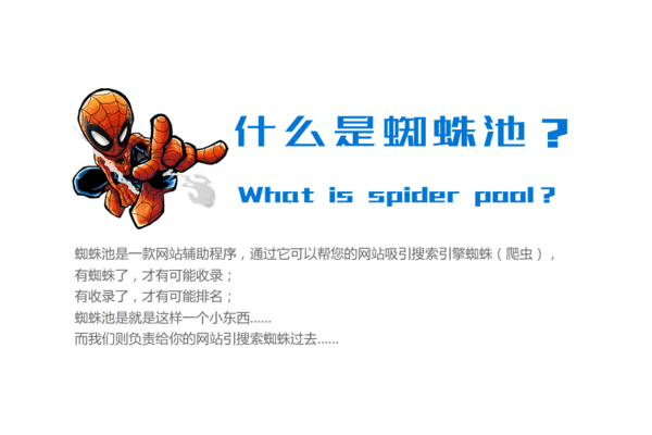 往蜘蛛池引蜘蛛會怎么樣_蜘蛛池是干嘛的