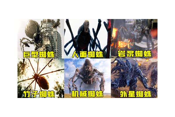 巖漿蜘蛛真實(shí)事件_巖漿蜘蛛2