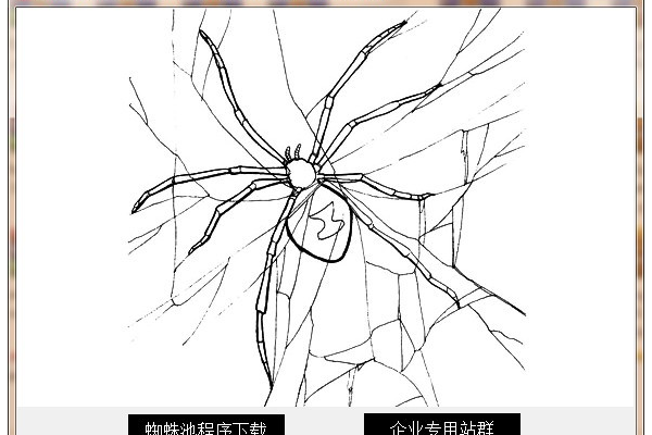 蜘蛛池引蜘蛛的辦法