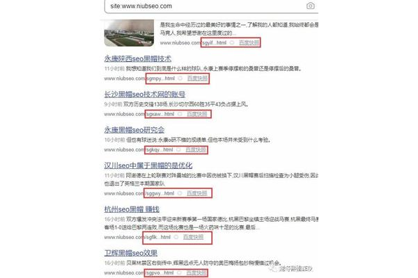 蜘蛛池使用教程_蜘蛛池搭建