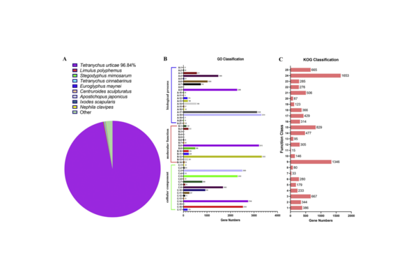 紅蜘蛛檢測_紅蜘蛛怎么刷