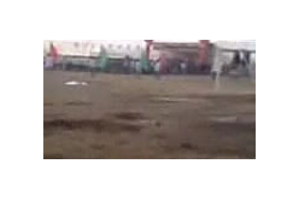 蜘蛛嶺生態(tài)園怎么樣_2020蜘蛛池出租