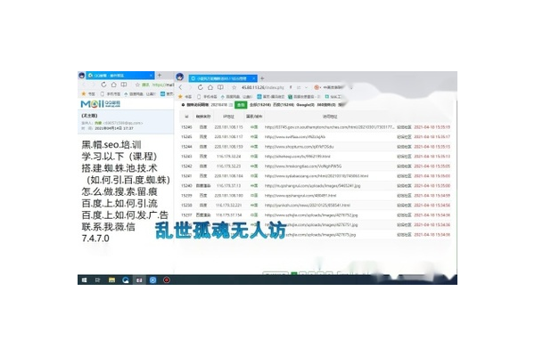 蜘蛛池收錄是什么_蜘蛛池收錄技術(shù)原理