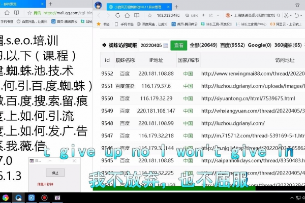 蜘蛛池甄選云蜘蛛ok