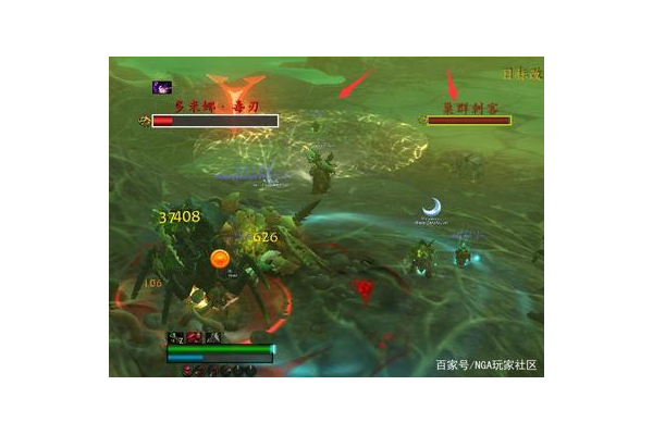 蛛蜘的血是什么顏色_蜘蛛 血液