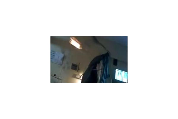 蜘蛛池是什么意思_蜘蛛池真的有用嗎