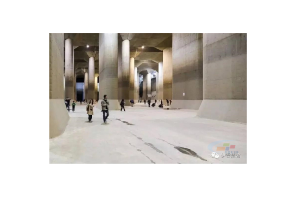 蜘蛛池新手入門_蜘蛛池怎么使用