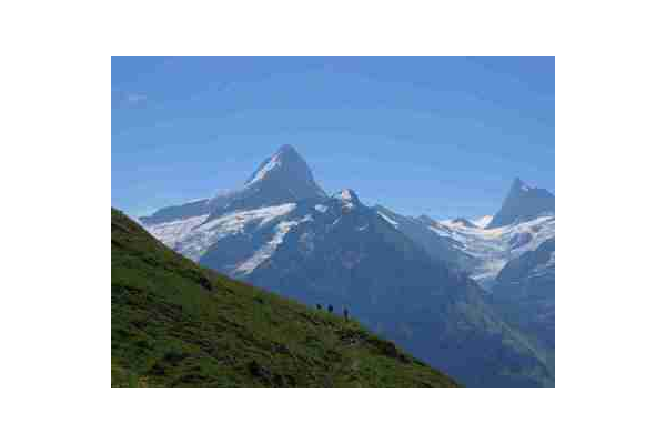 牛人自制蜘蛛池