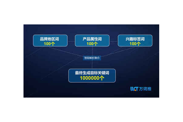 蜘蛛池如何利用