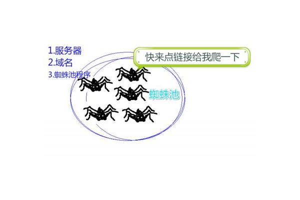 蜘蛛池導(dǎo)致蜘蛛來(lái)太多