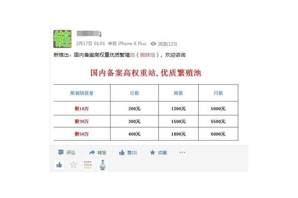 蜘蛛池怎么養(yǎng)_蜘蛛池價格