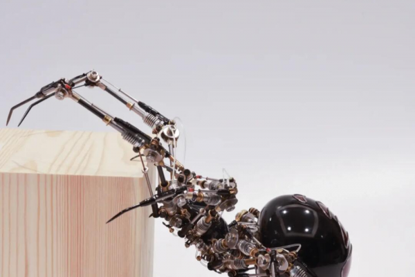 蜘蛛池有什么作用_蜘蛛池是什么