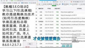 百度蜘蛛池自動收錄seo_百度首頁排名優(yōu)化