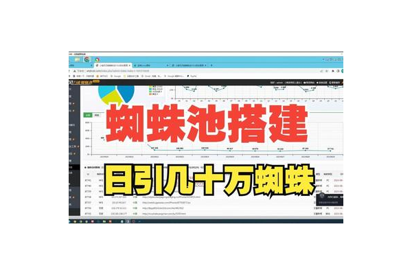 蜘蛛池 教學(xué)