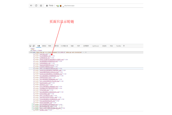 寄生蜘蛛池程序